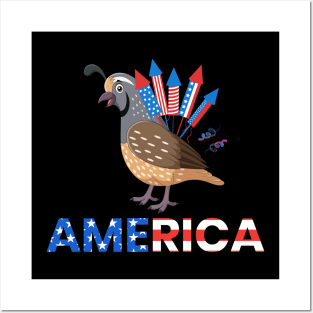 Quail Fireworks Quail America Posters and Art